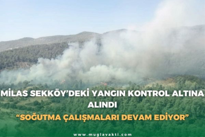 MİLAS SEKKÖY’DEKİ YANGIN KONTROL ALTINA ALINDI