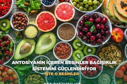 Antosiyanin İçeren Besinler Bağışıklık Sistemini Güçlendiriyor