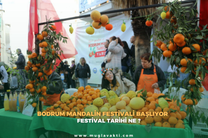 Bodrum Mandalin Festivali Başlıyor