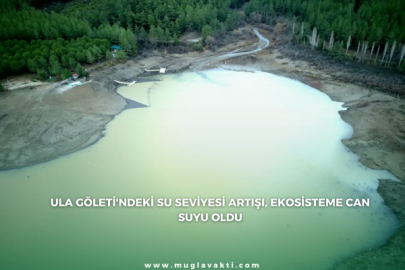 Ula Göleti'ndeki Su Seviyesi Artışı, Ekosisteme Can Suyu Oldu