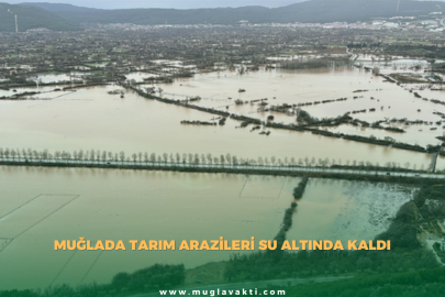 Muğla'da tarım arazileri su altında kaldı