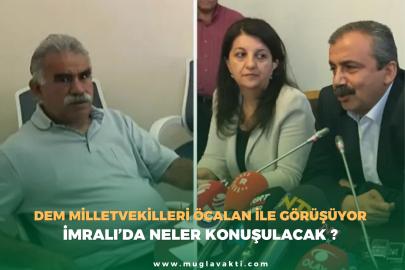 DEM Parti milletvekilleri İmralı'da Öcalan ile görüşüyor
