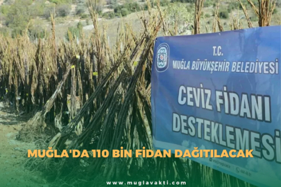 Muğla'da 110 Bin Fidan Dağıtılacak