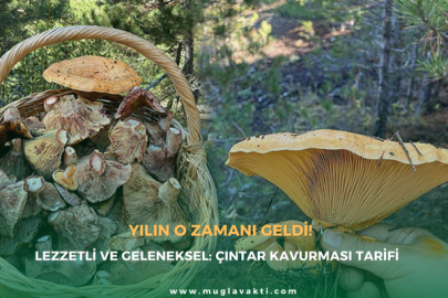 Lezzetli ve Geleneksel: Çıntar Kavurması Tarifi