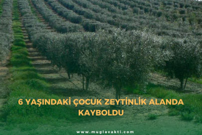 6 yaşındaki çocuk zeytinlik alanda kayboldu