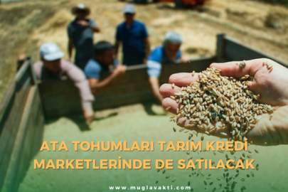 Ata tohumları Tarım Kredi marketlerinde de satılacak