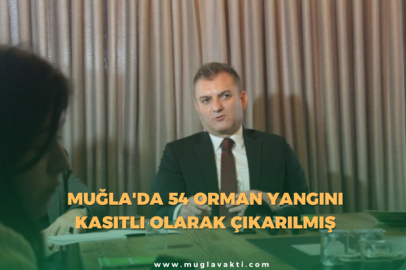 Muğla'da 54 Orman Yangını Kasıtlı Olarak Çıkarılmış