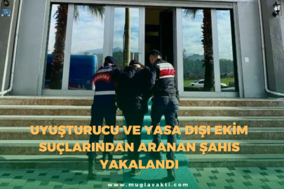Uyuşturucu ve Yasa Dışı Ekim Suçlarından Aranan Şahıs Yakalandı