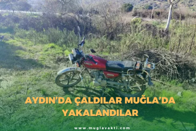 Aydın’da Çaldılar Muğla’da Yakalandılar