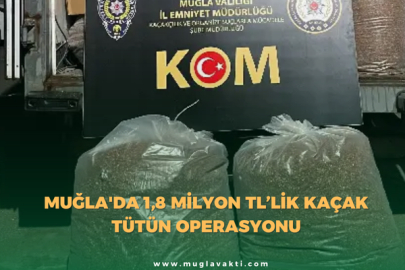 Muğla'da 1,8 Milyon TL’lik Kaçak Tütün Operasyonu