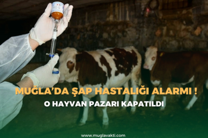 Muğla’da Şap Hastalığı Alarmı! O Hayvan Pazarı Kapatıldı