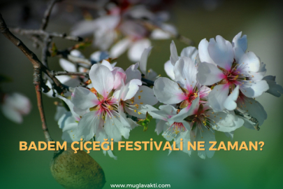 Badem çiçeği festivali ne zaman?