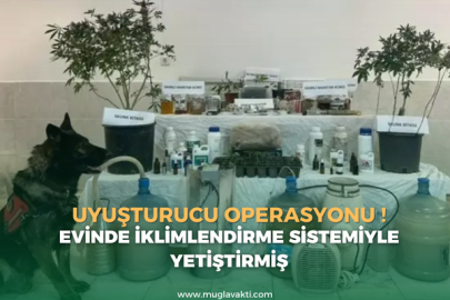 Uyuşturucu Operasyonu: Evinde İklimlendirme Sistemiyle Yetiştirmiş